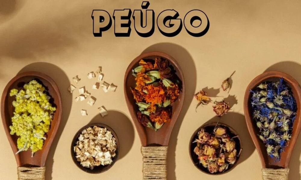 peúgo