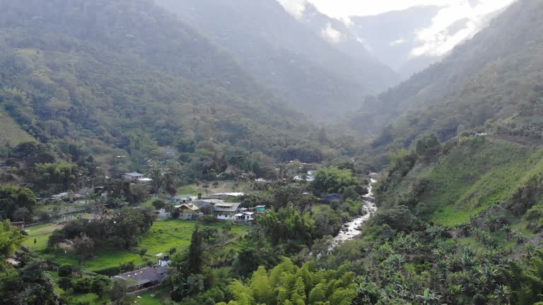 loop bandera valle del cauca